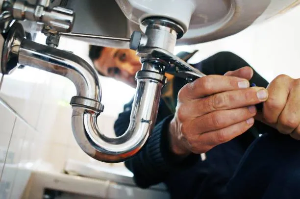 istockphoto 1440019701 612x612 1